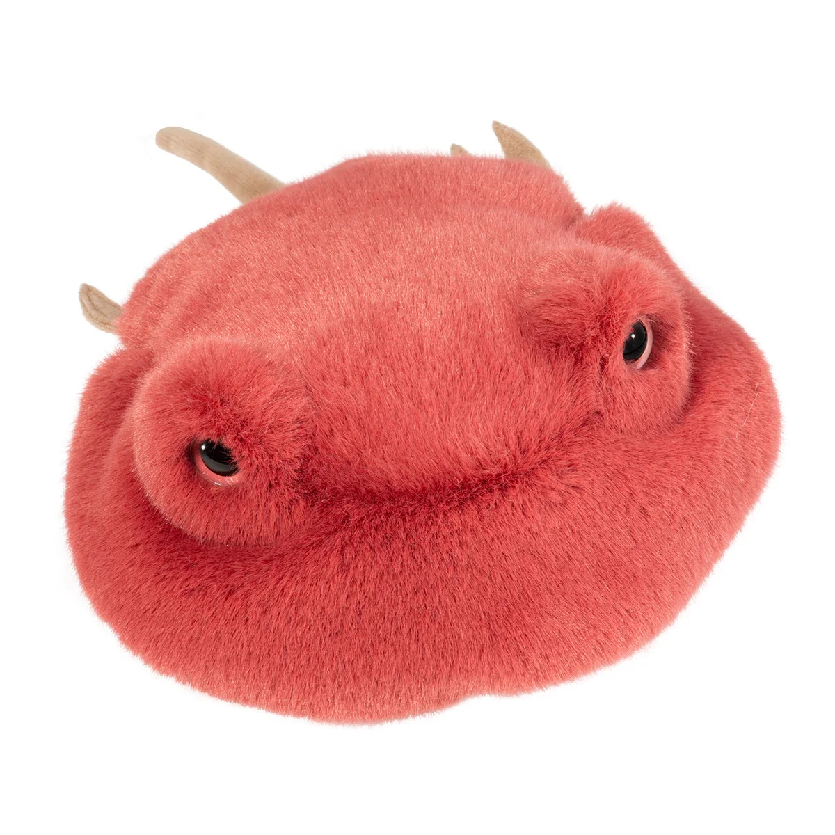 Thumb 2
