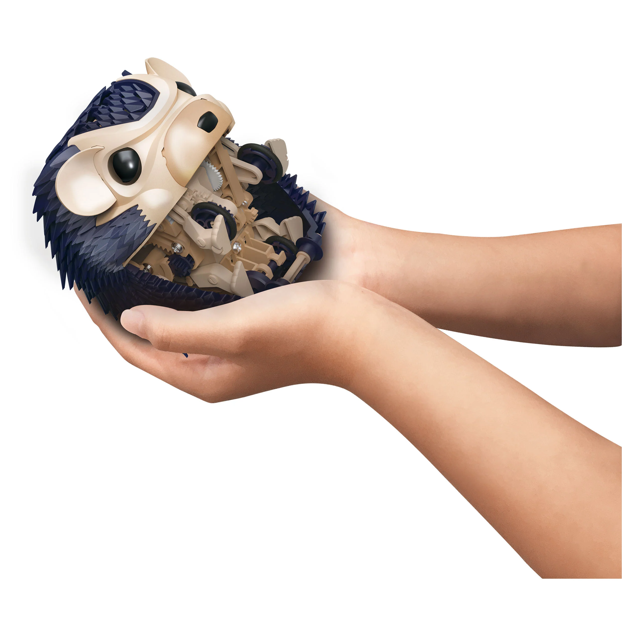 Thumb 5